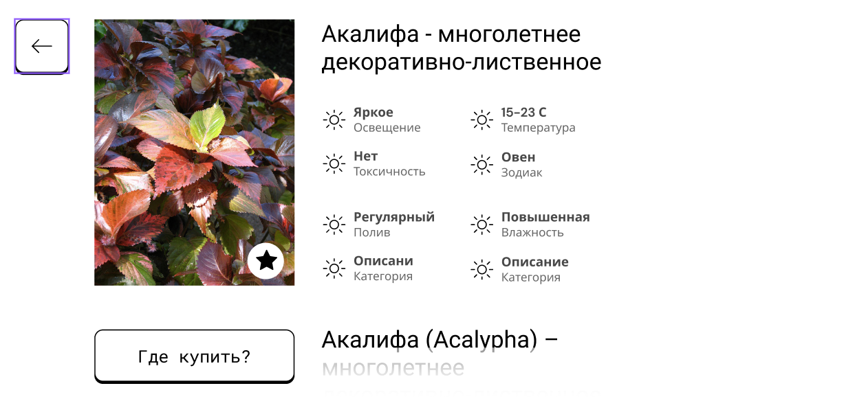 Информация о растении внутри приложения